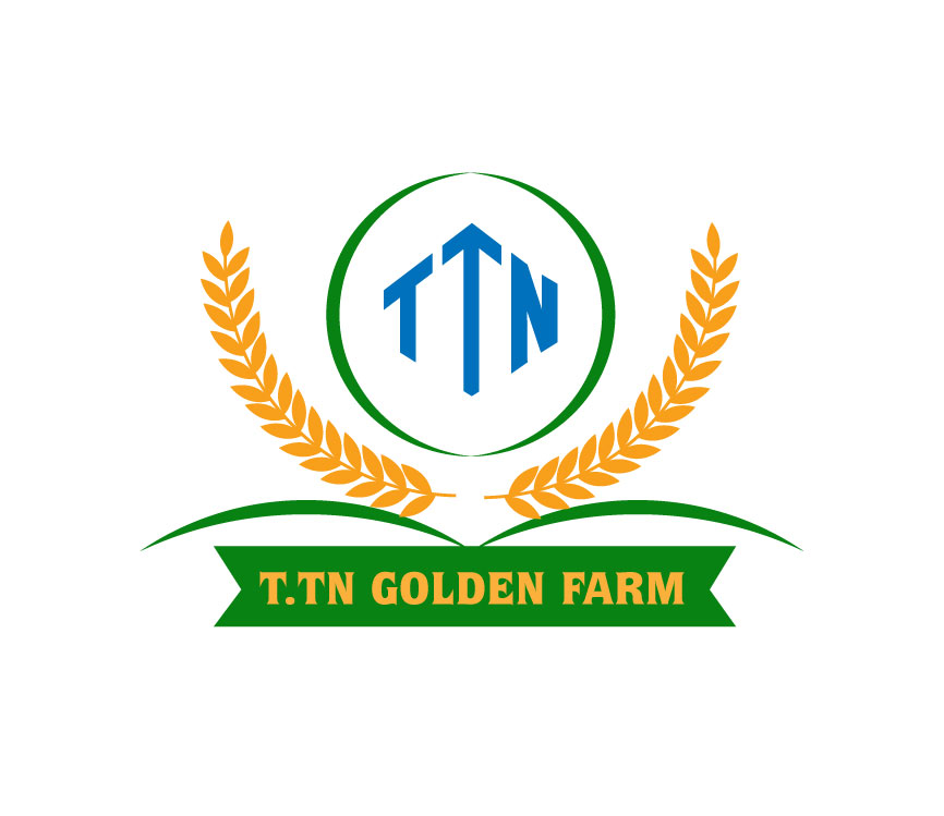 Mẫu logo chữ đẹp: AI tạo nhanh hay thiết kế theo yêu cầu dễ dùng hơn?